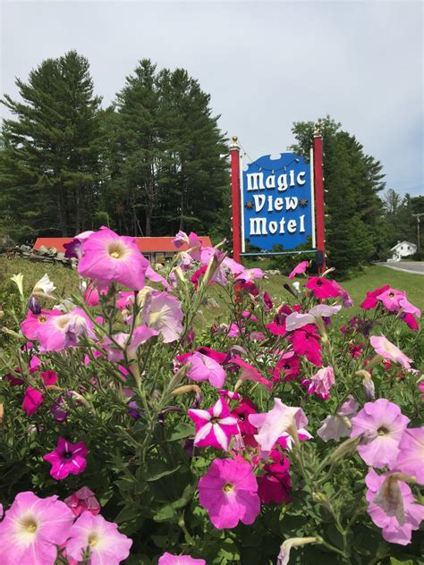 Escape to the Tranquility of Magical View Hostel in Londonderry VT